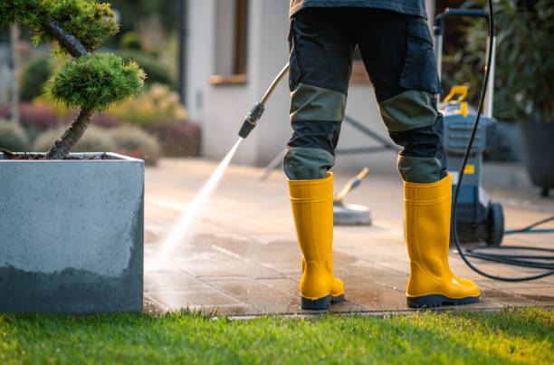 Best Pressure Washing Company Near Me  in Joppatowne, MD